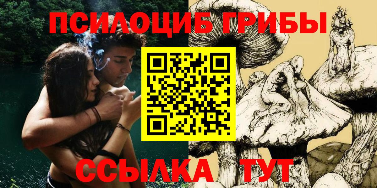 Галлюциногенные грибы Psilocybine cubensis Усинск